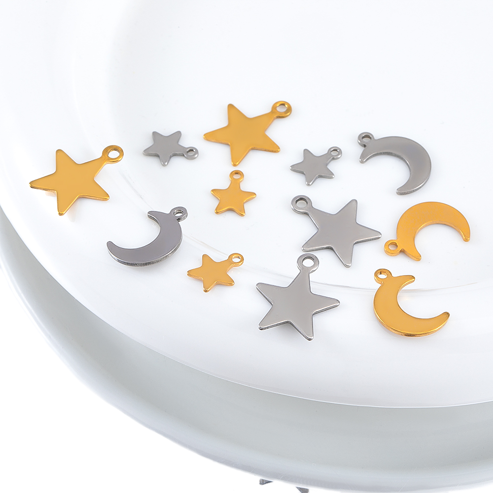 20 stuks roestvrij staal platt - Moon Star Earrings recensie en prijs